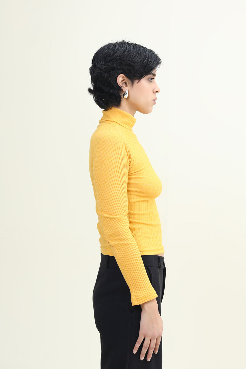TURTLE NECK TOP