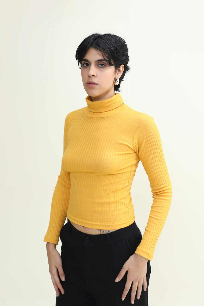 TURTLE NECK TOP