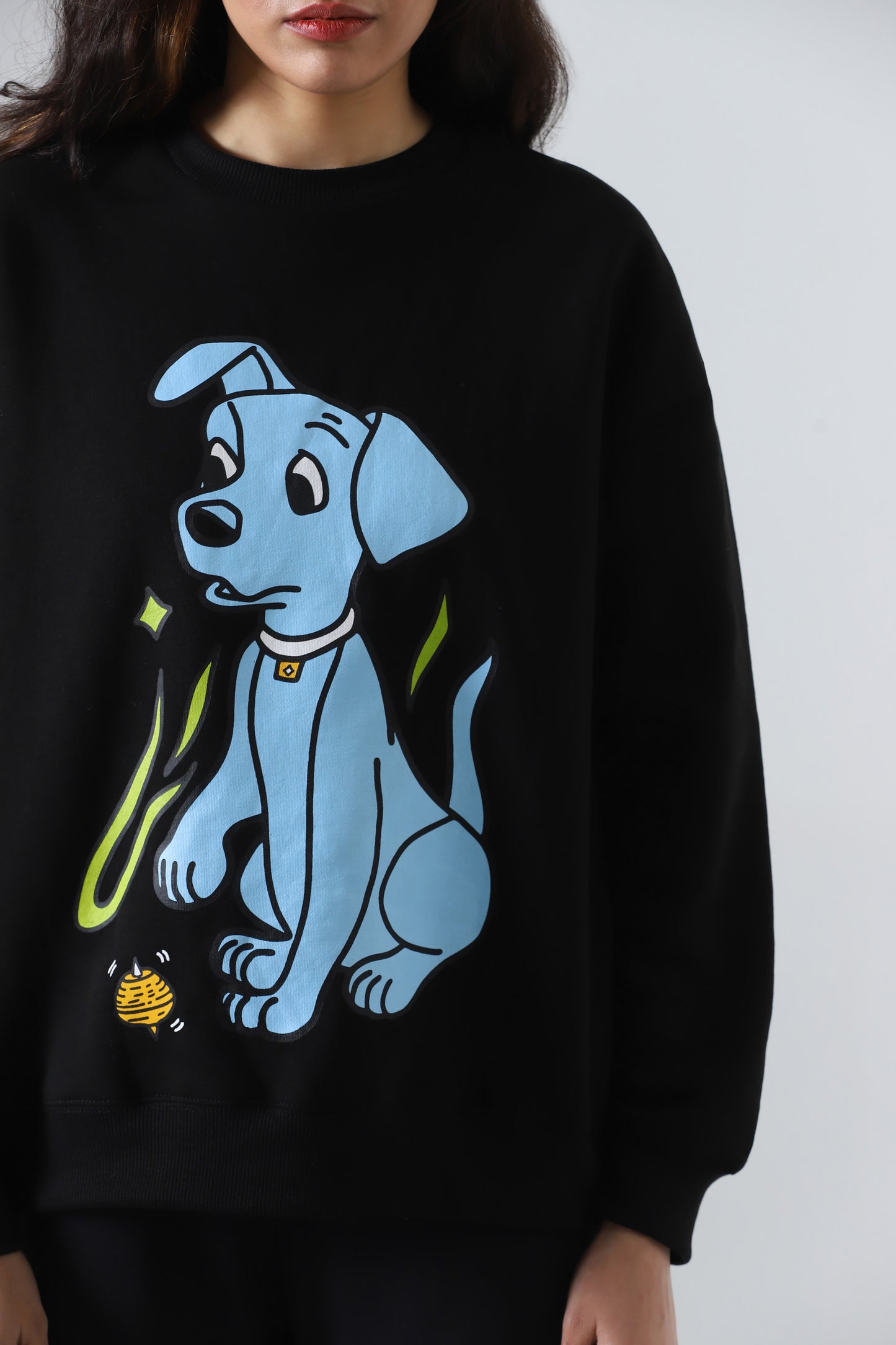 RAA-AY PUPPY SWEATSHIRT